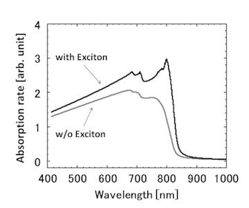 SLSC.jpg(16053 byte)